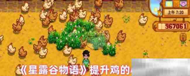 《星露谷物语》提升鸡的心情方法