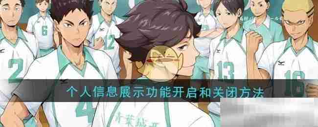 《排球少年：新的征程》个人信息展示功能开启和关闭方法