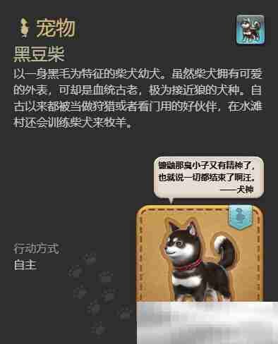 《最终幻想14：水晶世界》黑豆柴宠物获得方法