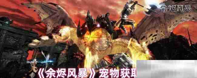 《余烬风暴》宠物获取途径