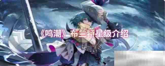 《鸣潮》布兰特星级介绍