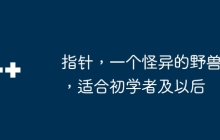 指针，一个怪异的野兽，适合初学者及以后