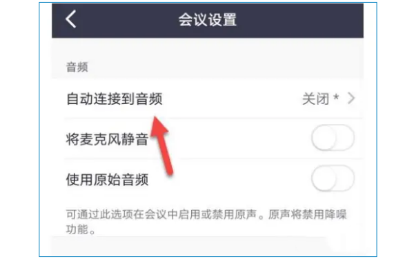 ZOOM视频会议如何连接音频?ZOOM视频会议连接音频的操作方法
