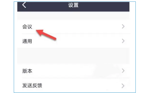 ZOOM视频会议如何连接音频?ZOOM视频会议连接音频的操作方法