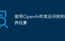 使用OpenAi的食品识别和营养估算