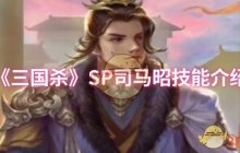 《三国杀》SP司马昭技能介绍