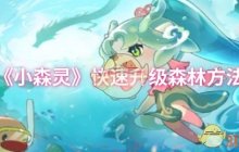 《小森灵》快速升级森林方法
