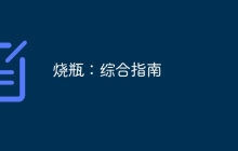 烧瓶：综合指南