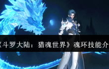 《斗罗大陆：猎魂世界》魂环技能介绍