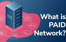 一文搞清楚PAID币总量多少？PAID币发行量介绍