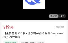 在小红书上卖Deepseek指令，赚了4w+