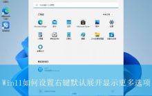 Win11右键菜单大变身! 轻松解锁win11右键直接显示全部选项的技巧