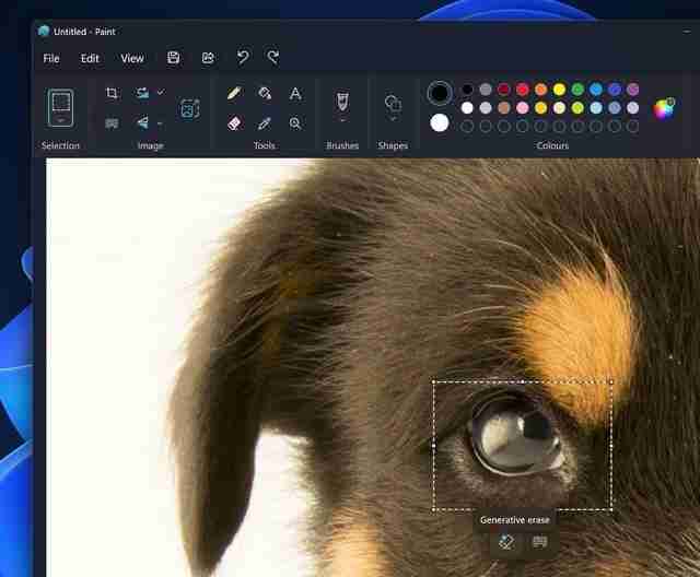 Win11畫圖應用正式上線AI 擦除功能: 智能修圖新體驗