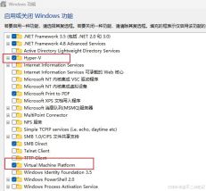 Win11Hyper-V虚拟机设置vGPU显卡直通 彻底释放GPU性能