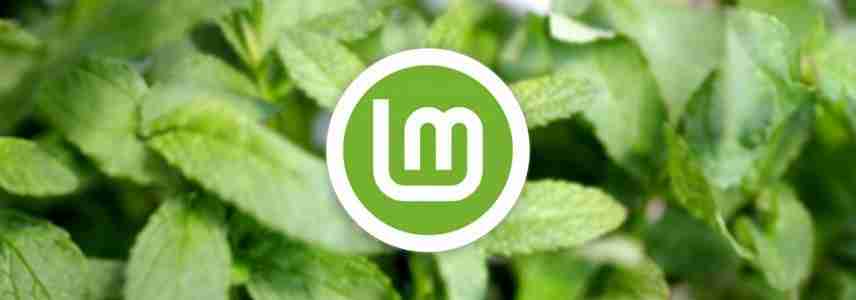 Linux Mint Xia 22.1重磅發(fā)布: 重要更新一覽