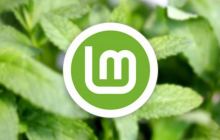 Linux Mint Xia 22.1重磅发布: 重要更新一览