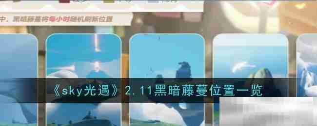 《sky光遇》2.11黑暗藤蔓位置一览