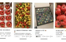 小红书运营的秘密——跑量模版