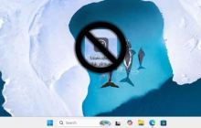 Win11了解此图片图标怎么删除? Spotlight壁纸删除了解有关此图片的技巧