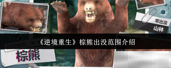 《逆境重生》棕熊出没范围介绍