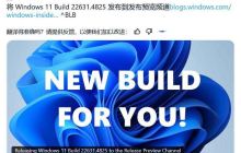 Win11 RP 22631.4825预览版发布:附KB5050092完整更新日志