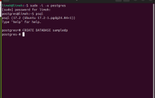 掌握PostgreSQL：初学者＆＃s指南