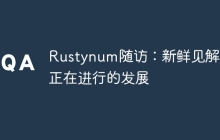 Rustynum随访：新鲜见解和正在进行的发展