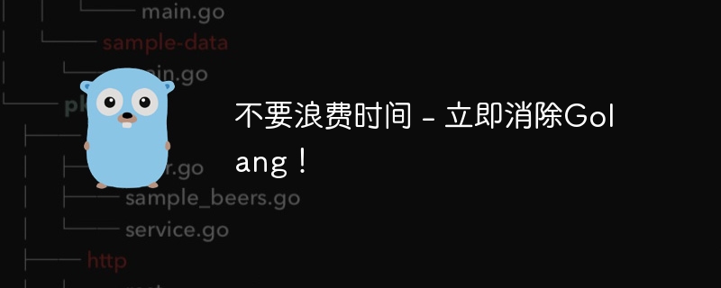 不要浪费时间 - 立即消除golang！
