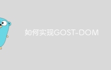 如何实现GOST-DOM