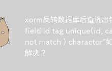 xorm反转数据库后查询出错：“field Id tag unique(id, cannot match ) charactor”如何解决？