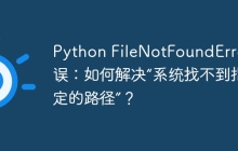 Python FileNotFoundError错误：如何解决“系统找不到指定的路径”？
