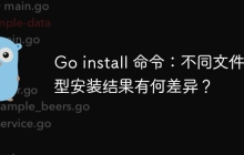 Go install 命令：不同文件类型安装结果有何差异？