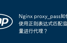Nginx proxy_pass如何使用正则表达式匹配变量进行代理?
