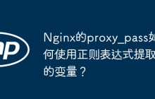 Nginx的proxy_pass如何使用正则表达式提取的变量?