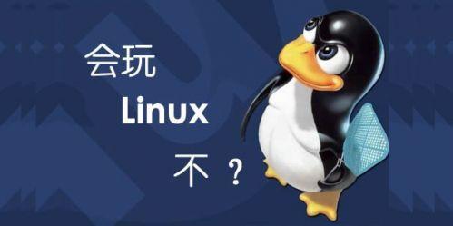 今天聊聊:每个 Linux 新手都应该知道的 四个命令