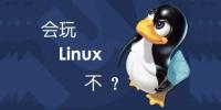 今天聊聊：每个 Linux 新手都应该知道的 四个命令