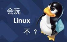 今天聊聊:每个 Linux 新手都应该知道的 四个命令