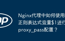 Nginx代理中如何使用正则表达式变量$1进行proxy_pass配置?