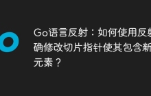Go语言反射：如何使用反射正确修改切片指针使其包含新增元素？
