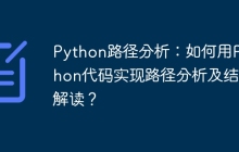 Python路径分析：如何用Python代码实现路径分析及结果解读？