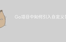 Go项目中如何引入自定义包？