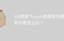 Iris框架下xorm数据库外键更新失败怎么办？