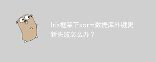 Iris框架下xorm数据库外键更新失败怎么办？