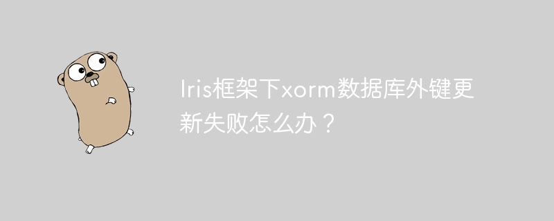 iris框架下xorm数据库外键更新失败怎么办？
