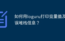 如何用loguru打印变量值及错误堆栈信息？