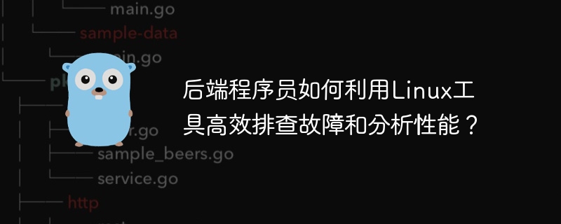 后端程序员如何利用linux工具高效排查故障和分析性能？
