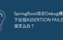 SpringBoot项目Debug模式下出现ASSERTION FAILED错误怎么办？