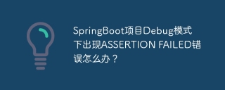 SpringBoot项目Debug模式下出现ASSERTION FAILED错误怎么办？