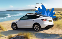 2025年1月SUV销量排名公布：星越L Model Y居前二