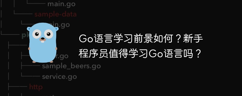 go语言学习前景如何？新手程序员值得学习go语言吗？